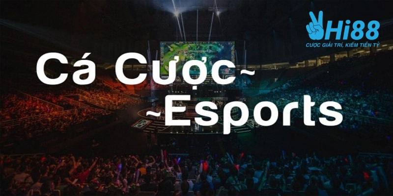 Cá cược Esport là gì?