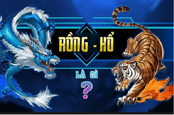 Tìm hiểu về bộ game rồng hổ