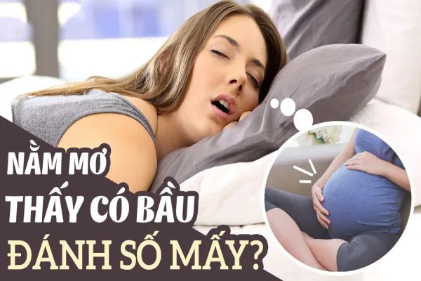 Nằm mơ thấy có bầu thì đánh số gì cho trúng lớn?