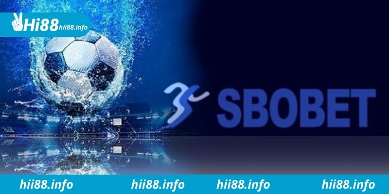 Vì sao sảnh thể thao SBOBET Hi88 lại hot đến thế?